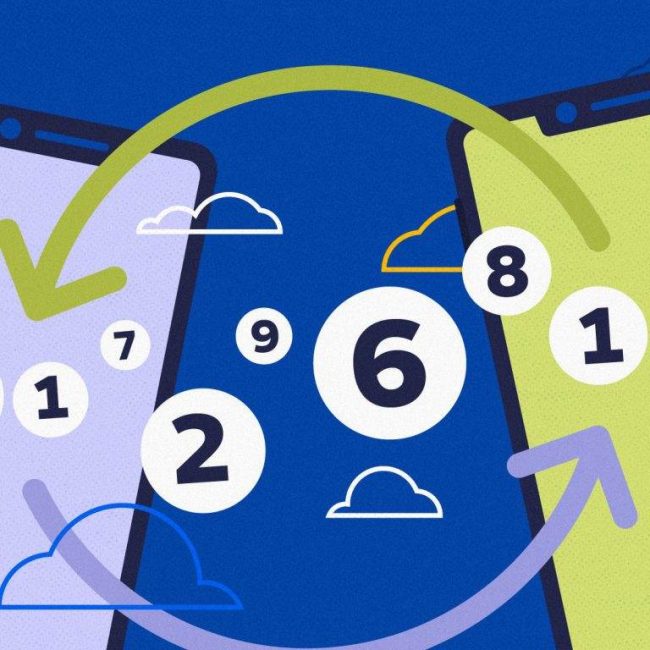 voip-porting voipphone solution