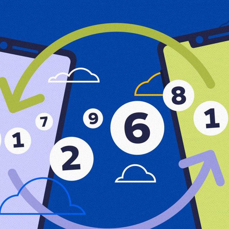 voip-porting voipphone solution